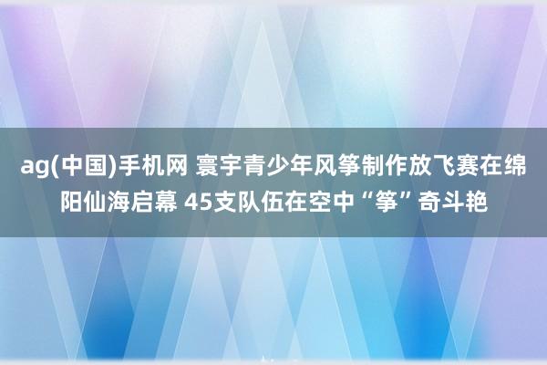 ag(中国)手机网 寰宇青少年风筝制作放飞赛在绵阳仙海启幕 45支队伍在空中“筝”奇斗艳