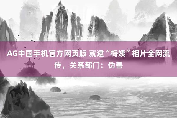 AG中国手机官方网页版 就逮“梅姨”相片全网流传，关系部门：伪善