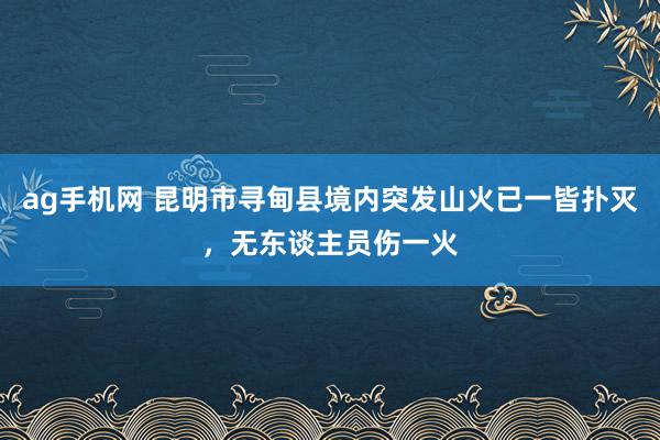 ag手机网 昆明市寻甸县境内突发山火已一皆扑灭，无东谈主员伤一火