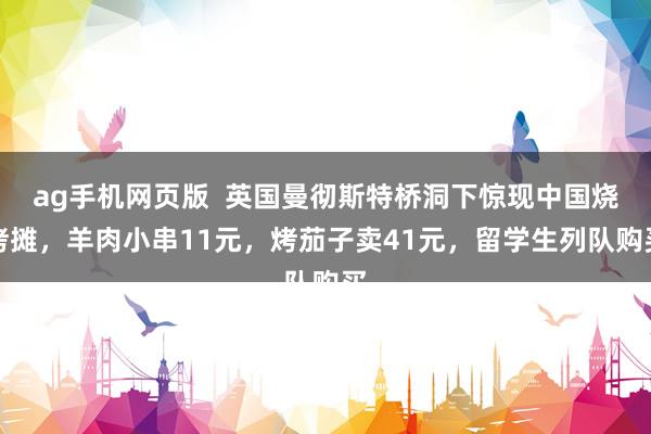 ag手机网页版  英国曼彻斯特桥洞下惊现中国烧烤摊，羊肉小串11元，烤茄子卖41元，留学生列队购买