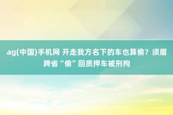 ag(中国)手机网 开走我方名下的车也算偷？须眉跨省“偷”回质押车被刑拘