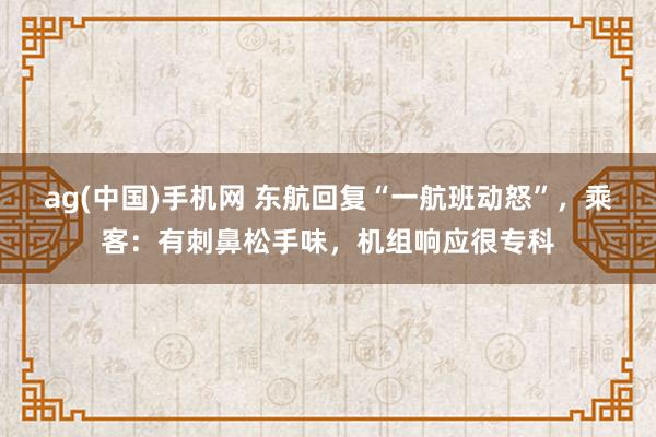 ag(中国)手机网 东航回复“一航班动怒”，乘客：有刺鼻松手味，机组响应很专科