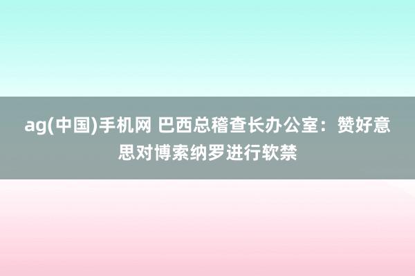 ag(中国)手机网 巴西总稽查长办公室：赞好意思对博索纳罗进行软禁