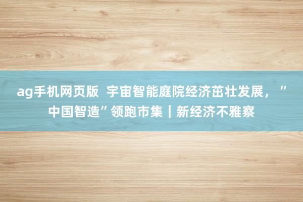 ag手机网页版  宇宙智能庭院经济茁壮发展，“中国智造”领跑市集｜新经济不雅察
