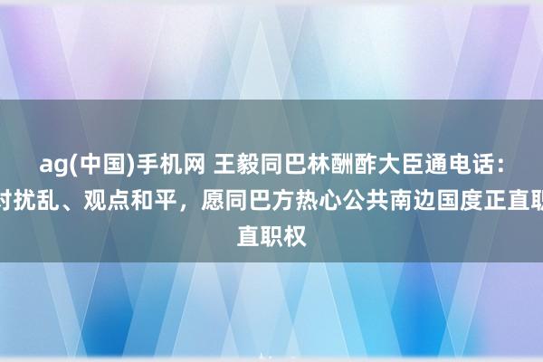 ag(中国)手机网 王毅同巴林酬酢大臣通电话：反对扰乱、观点和平，愿同巴方热心公共南边国度正直职权