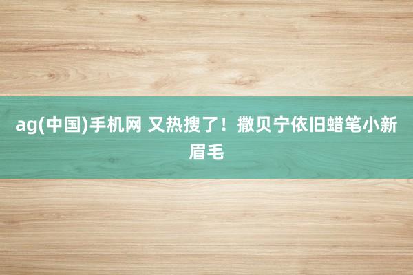 ag(中国)手机网 又热搜了！撒贝宁依旧蜡笔小新眉毛