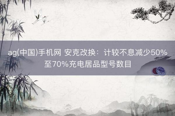 ag(中国)手机网 安克改换：计较不息减少50%至70%充电居品型号数目