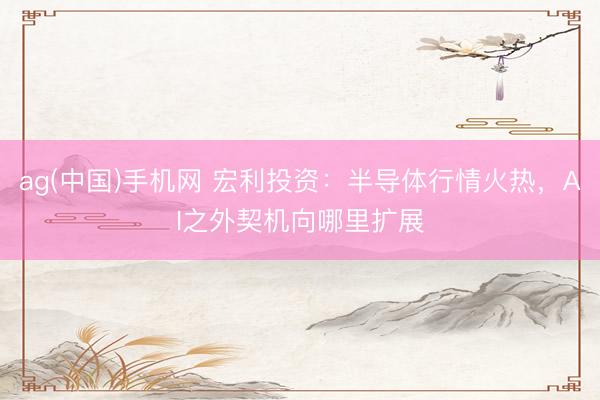 ag(中国)手机网 宏利投资：半导体行情火热，AI之外契机向哪里扩展