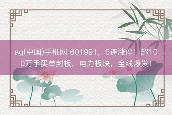 ag(中国)手机网 601991，6连涨停！超100万手买单封板，电力板块，全线爆发！