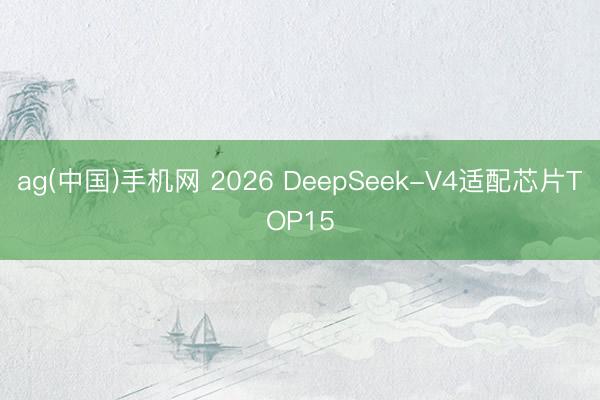 ag(中国)手机网 2026 DeepSeek-V4适配芯片TOP15