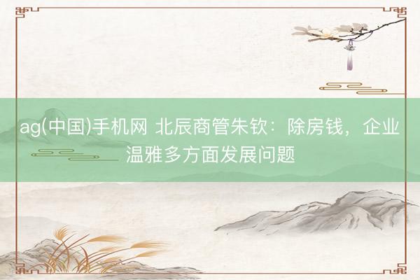 ag(中国)手机网 北辰商管朱钦：除房钱，企业温雅多方面发展问题