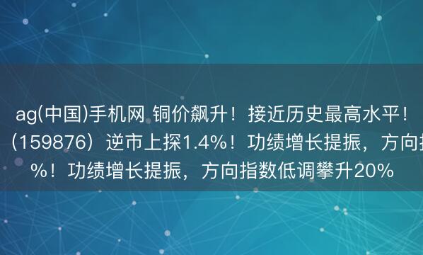 ag(中国)手机网 铜价飙升！接近历史最高水平！华宝基金有色ETF（159876）逆市上探1.4%！功绩增长提振，方向指数低调攀升20%