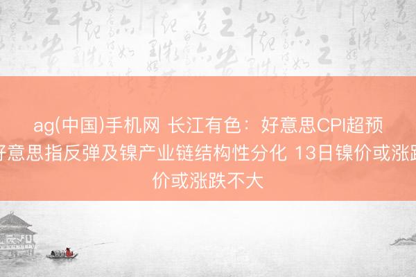 ag(中国)手机网 长江有色：好意思CPI超预期下好意思指反弹及镍产业链结构性分化 13日镍价或涨跌不大