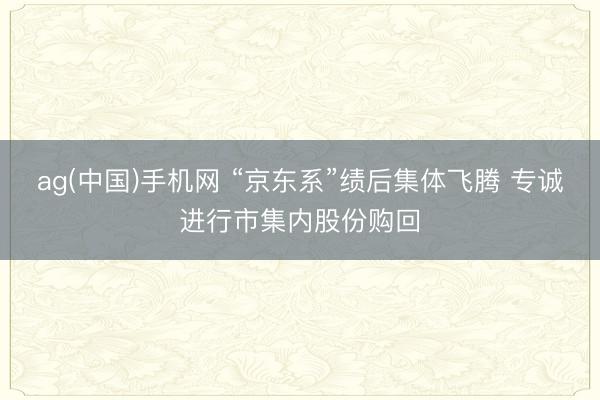ag(中国)手机网 “京东系”绩后集体飞腾 专诚进行市集内股份购回
