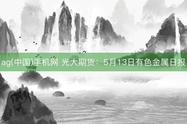 ag(中国)手机网 光大期货：5月13日有色金属日报