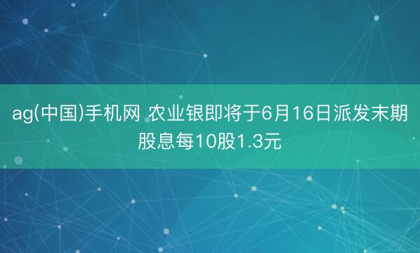ag(中国)手机网 农业银即将于6月16日派发末期股息每10股1.3元