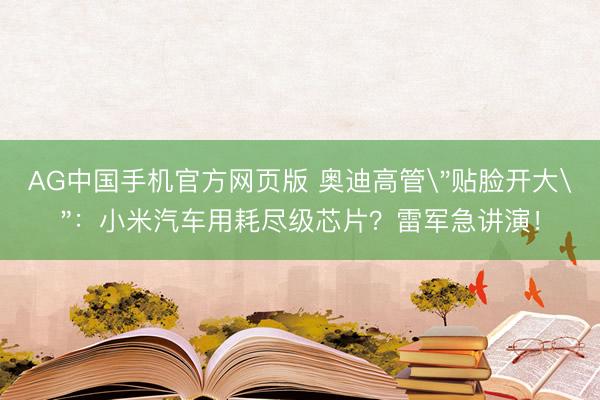 AG中国手机官方网页版 奥迪高管