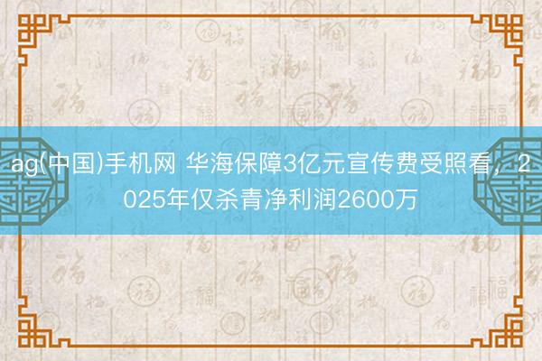 ag(中国)手机网 华海保障3亿元宣传费受照看，2025年仅杀青净利润2600万