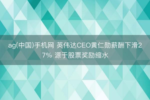 ag(中国)手机网 英伟达CEO黄仁勋薪酬下滑27% 源于股票奖励缩水