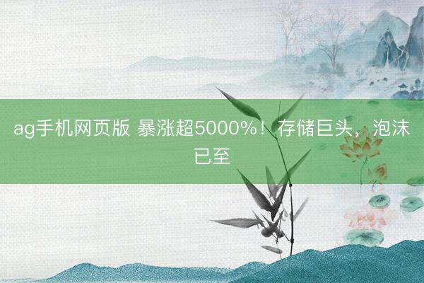 ag手机网页版 暴涨超5000%！存储巨头，泡沫已至