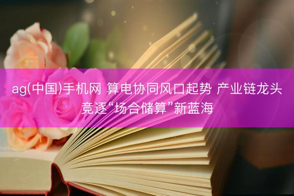 ag(中国)手机网 算电协同风口起势 产业链龙头竞逐“场合储算”新蓝海