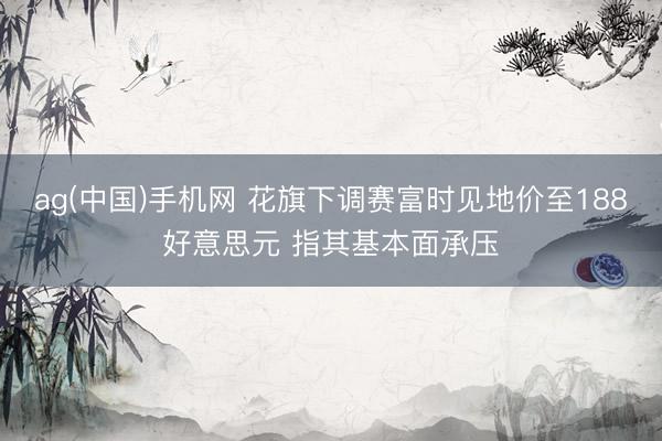 ag(中国)手机网 花旗下调赛富时见地价至188好意思元 指其基本面承压