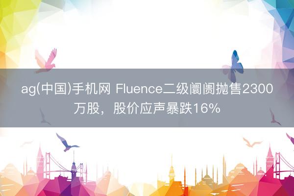 ag(中国)手机网 Fluence二级阛阓抛售2300万股，股价应声暴跌16%