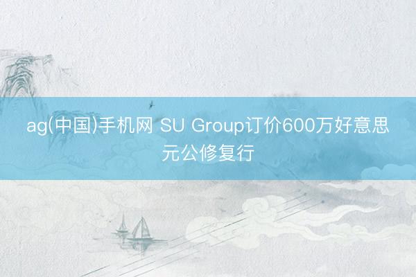 ag(中国)手机网 SU Group订价600万好意思元公修复行