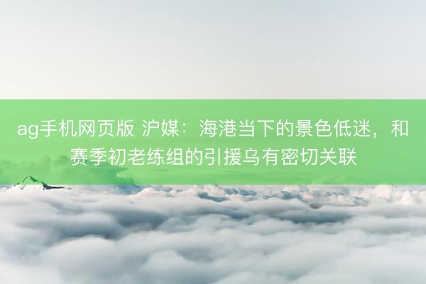 ag手机网页版 沪媒：海港当下的景色低迷，和赛季初老练组的引援乌有密切关联