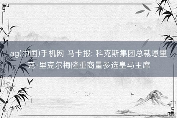ag(中国)手机网 马卡报: 科克斯集团总裁恩里克·里克尔梅隆重商量参选皇马主席