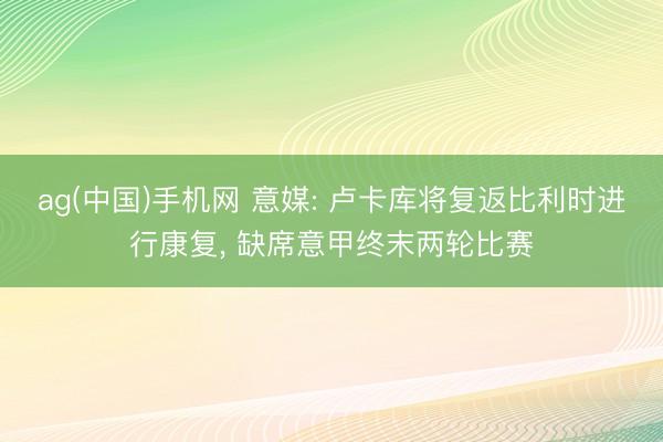 ag(中国)手机网 意媒: 卢卡库将复返比利时进行康复， 缺席意甲终末两轮比赛