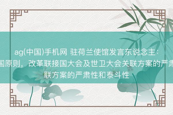 ag(中国)手机网 驻荷兰使馆发言东说念主：捍卫一个中国原则，改革联接国大会及世卫大会关联方案的严肃性和泰斗性