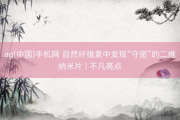 ag(中国)手机网 自然纤维素中发现“守密”的二维纳米片 | 不凡亮点