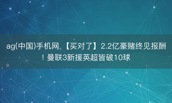 ag(中国)手机网 【买对了】2.2亿豪赌终见报酬! 曼联3新援英超皆破10球