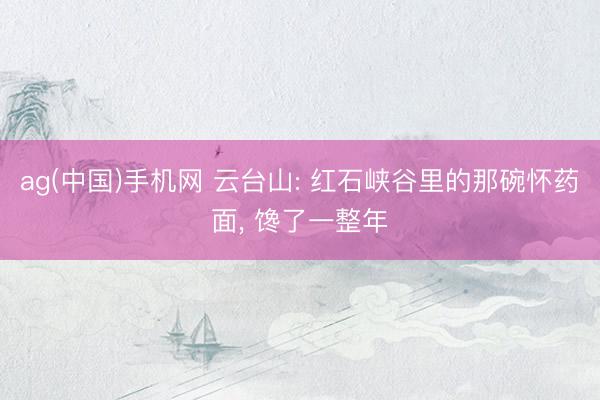 ag(中国)手机网 云台山: 红石峡谷里的那碗怀药面， 馋了一整年