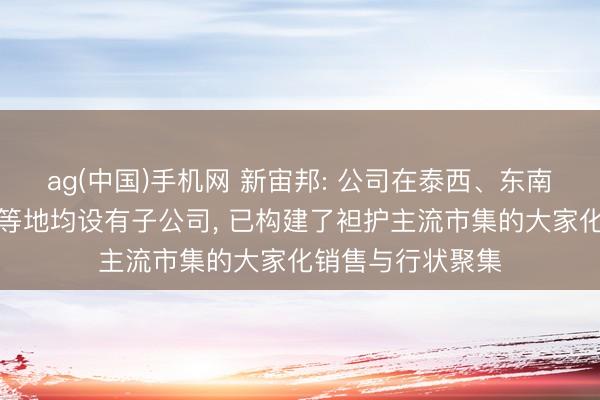 ag(中国)手机网 新宙邦: 公司在泰西、东南亚、日韩、中东等地均设有子公司, 已构建了袒护主流市集的大家化销售与行状聚集