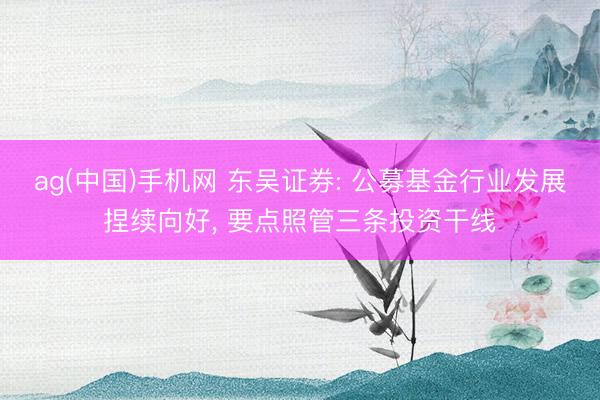 ag(中国)手机网 东吴证券: 公募基金行业发展捏续向好, 要点照管三条投资干线
