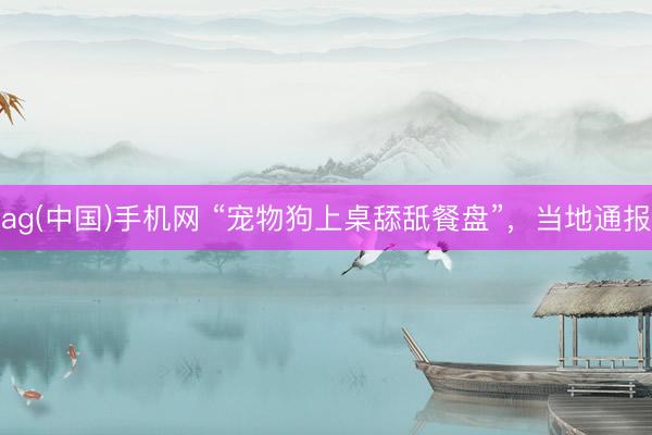 ag(中国)手机网 “宠物狗上桌舔舐餐盘”,当地通报