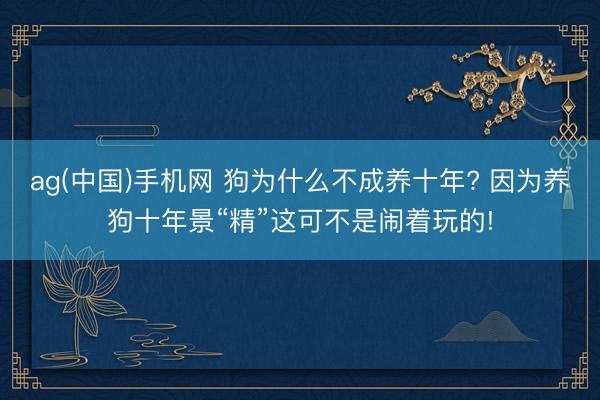 ag(中国)手机网 狗为什么不成养十年? 因为养狗十年景“精”这可不是闹着玩的!
