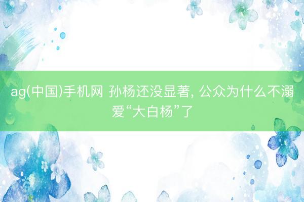 ag(中国)手机网 孙杨还没显著, 公众为什么不溺爱“大白杨”了