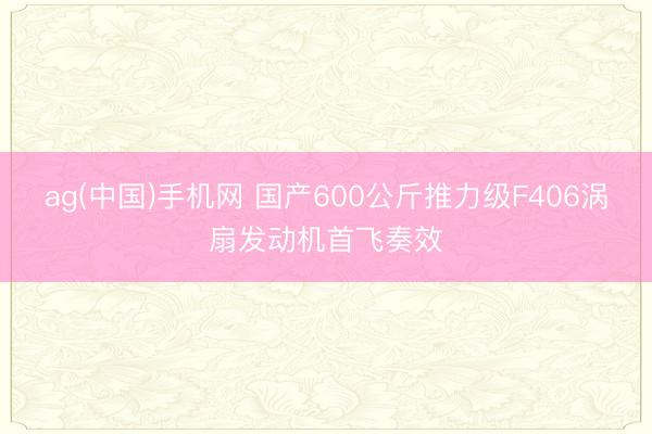 ag(中国)手机网 国产600公斤推力级F406涡扇发动机首飞奏效