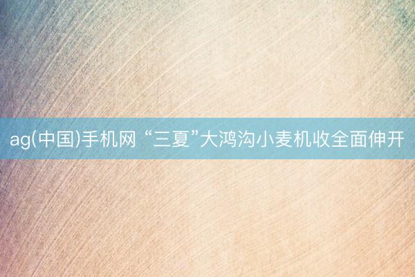 ag(中国)手机网 “三夏”大鸿沟小麦机收全面伸开