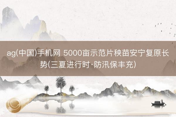 ag(中国)手机网 5000亩示范片秧苗安宁复原长势(三夏进行时·防汛保丰充)
