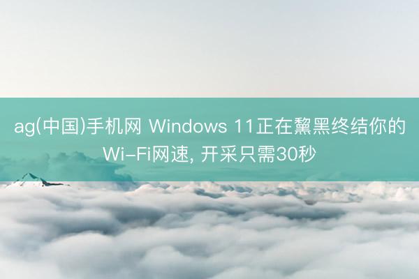 ag(中国)手机网 Windows 11正在黧黑终结你的Wi-Fi网速, 开采只需30秒