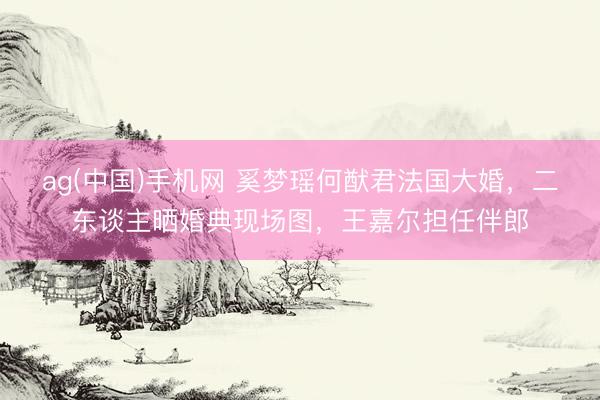 ag(中国)手机网 奚梦瑶何猷君法国大婚,二东谈主晒婚典现场图,王嘉尔担任伴郎