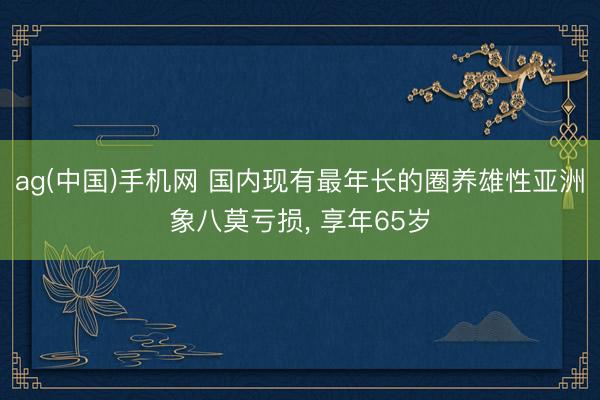 ag(中国)手机网 国内现有最年长的圈养雄性亚洲象八莫亏损, 享年65岁