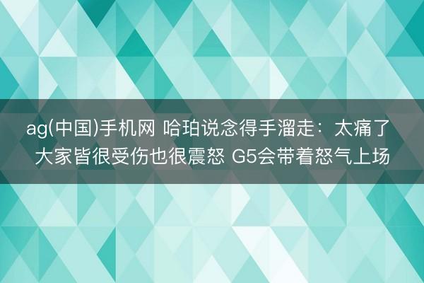 ag(中国)手机网 哈珀说念得手溜走:太痛了 大家皆很受伤也很震怒 G5会带着怒气上场