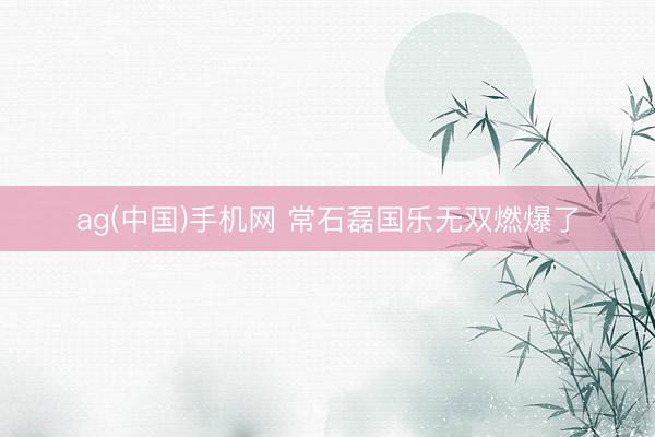 ag(中国)手机网 常石磊国乐无双燃爆了