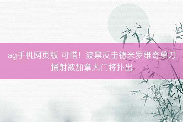 ag手机网页版 可惜!波黑反击德米罗维奇单刀捅射被加拿大门将扑出