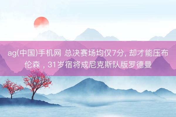 ag(中国)手机网 总决赛场均仅7分, 却才能压布伦森 , 31岁宿将成尼克斯队版罗德曼